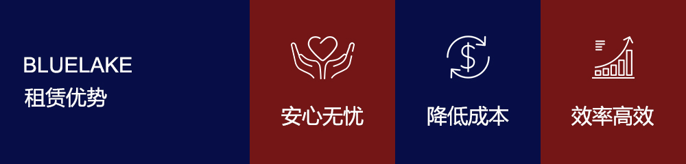 布魯雷克優勢